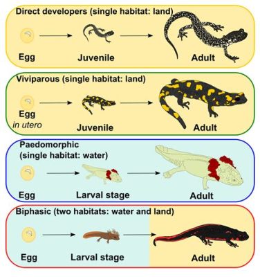 Marbled Salamander: A Tiny Creature With an Extraordinary Life Cycle Undergoing Metamorphosis!